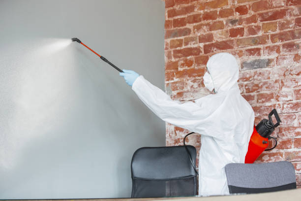 Best Mold Documentation for Insurance Claims  in Royal Hawaiian Estates, HI
