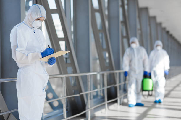 Biohazard Mold Removal in Royal Hawaiian Estates, HI