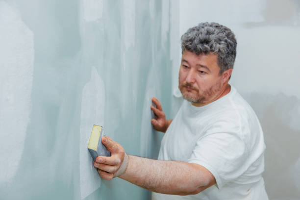Best Air Quality Testing for Mold Spores  in Royal Hawaiian Estates, HI