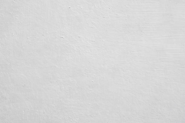 Professional Mold Removal in Royal Hawaiian Estates, HI