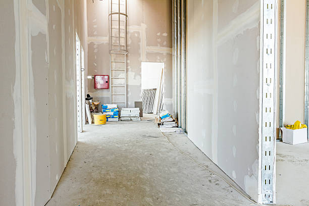 Best Mold Prevention Services  in Royal Hawaiian Estates, HI